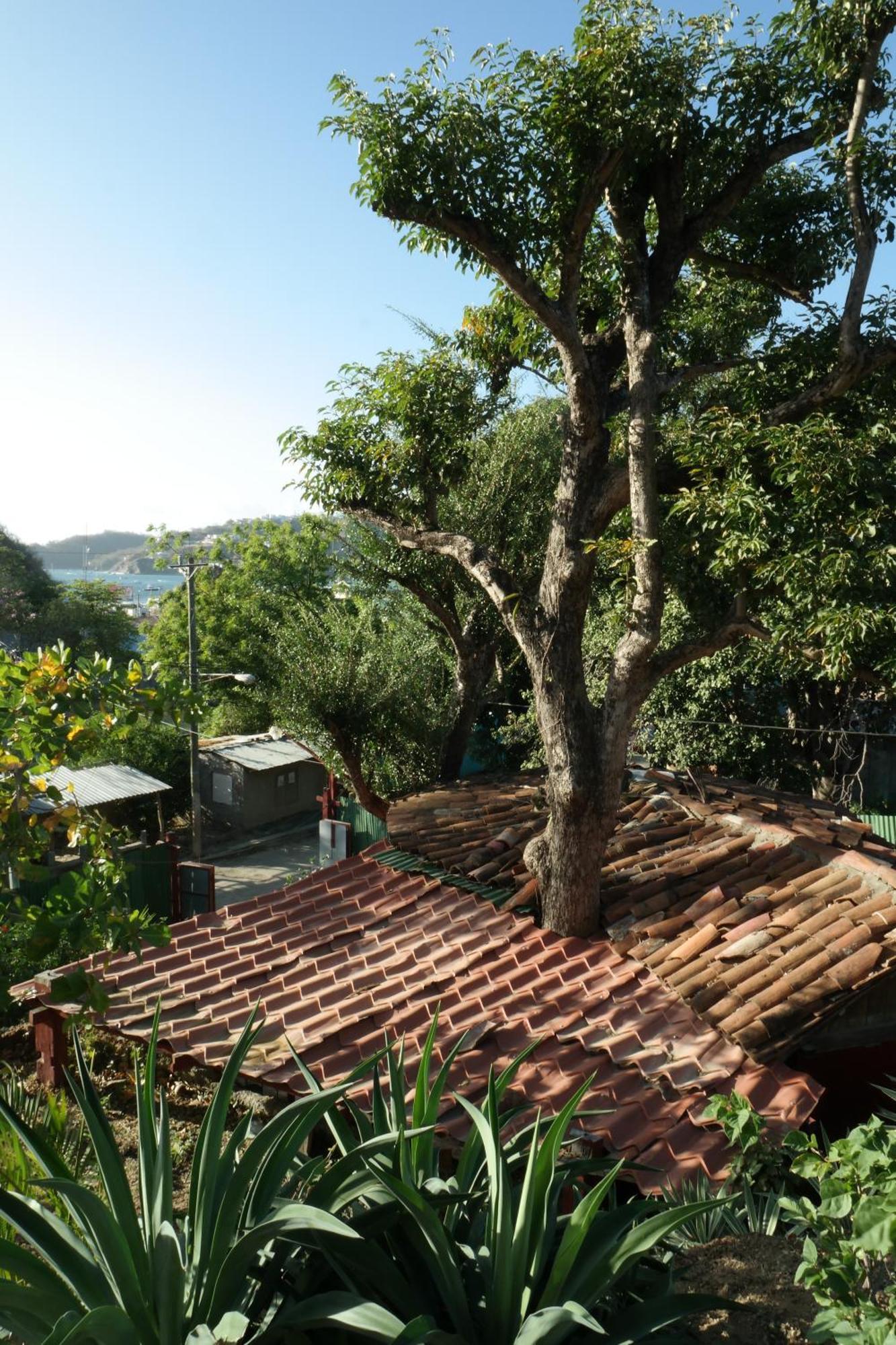 1 Bedroom Cabin, 3 Blocks From Beach And Center Of San Juan San Juan del Sur Exterior foto